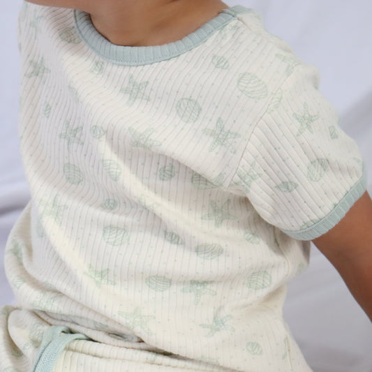 SEASIDE SHELLS I SUMMER SET