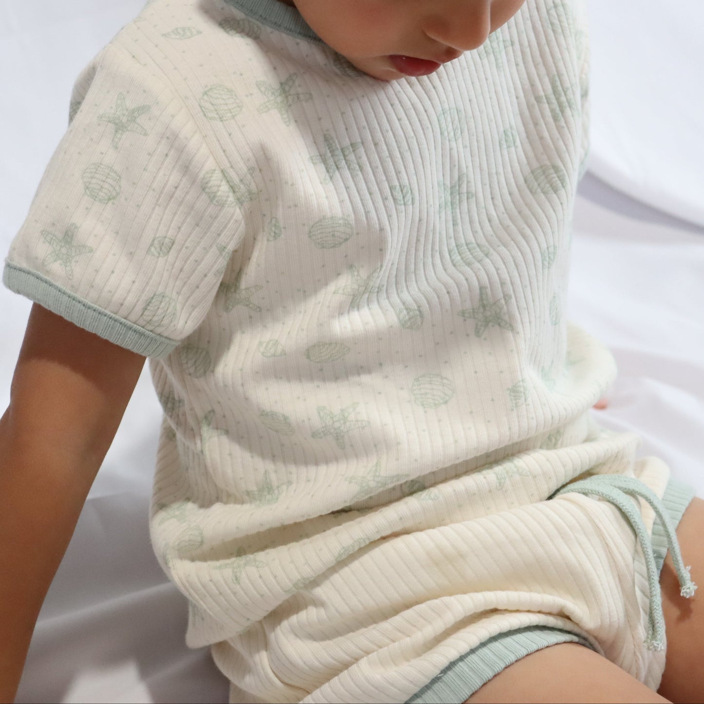 COASTAL CREAM I SUMMER SET