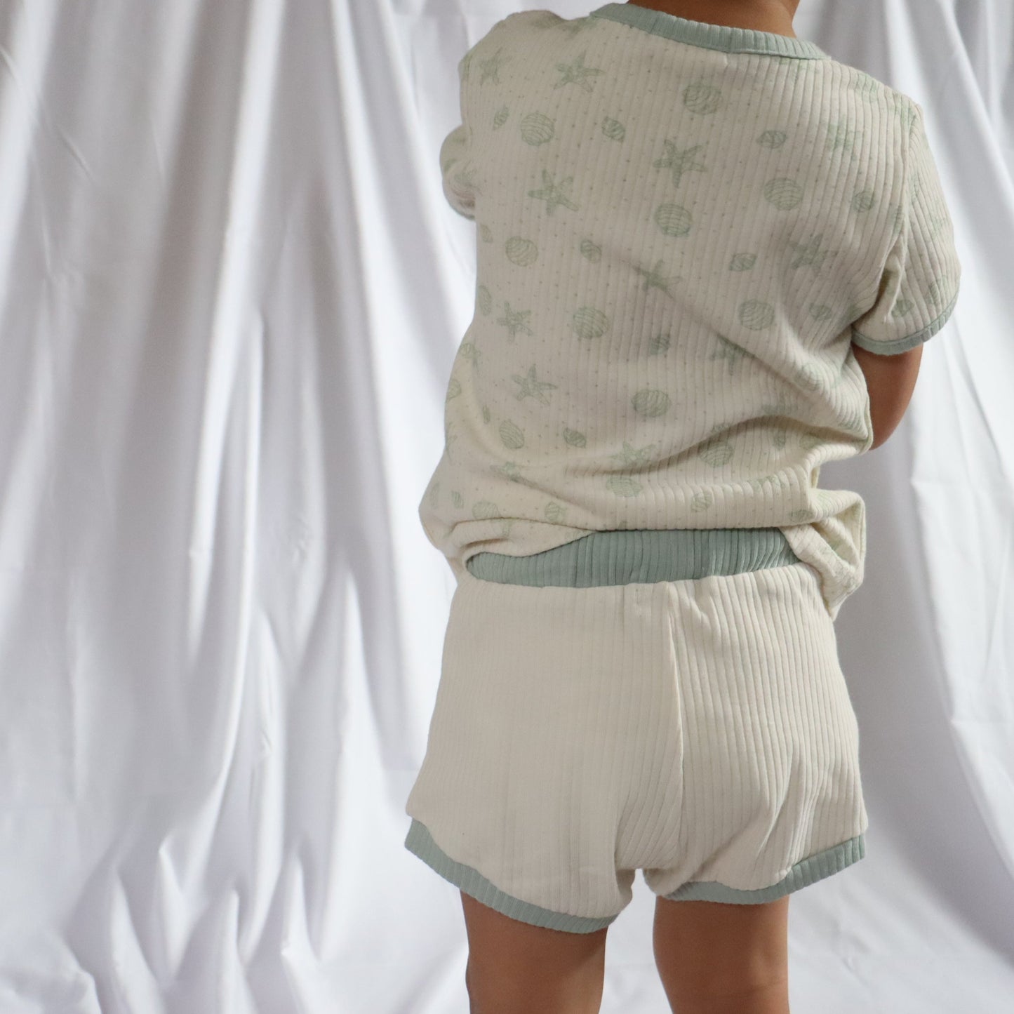 COASTAL CREAM I SUMMER SET